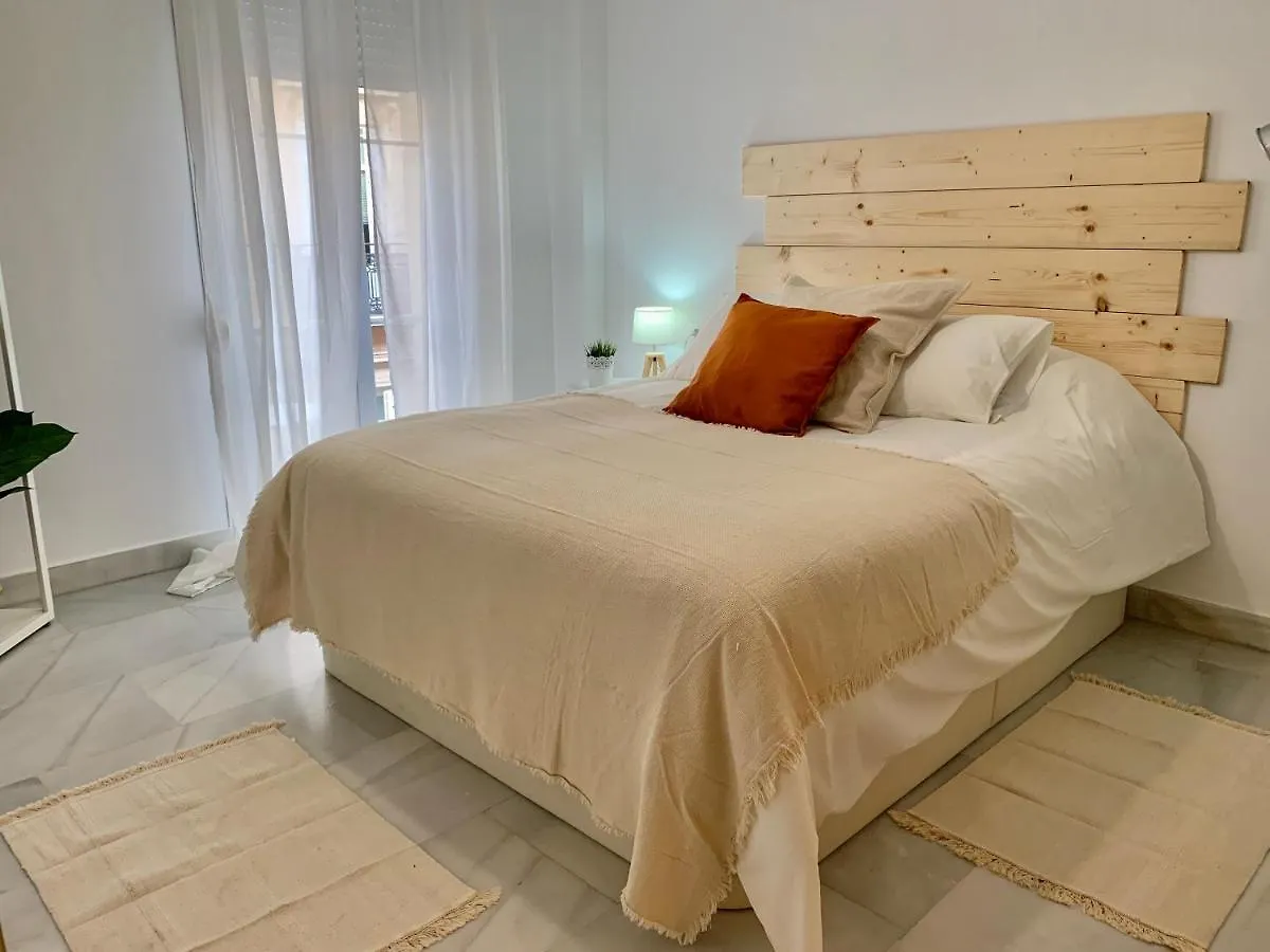 Homely Malaga Larios Apartment