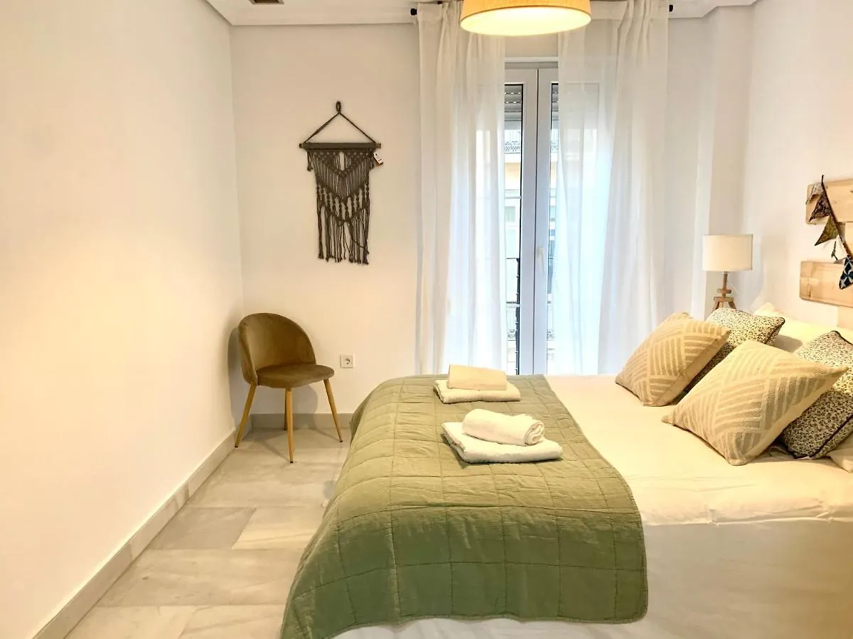 Homely Malaga Larios Apartment