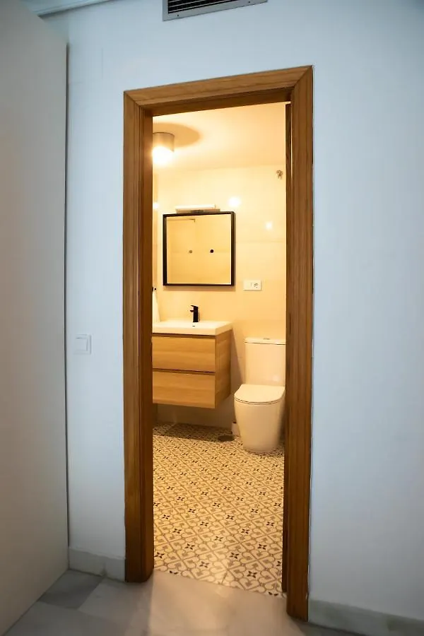 Homely Malaga Larios Apartment
