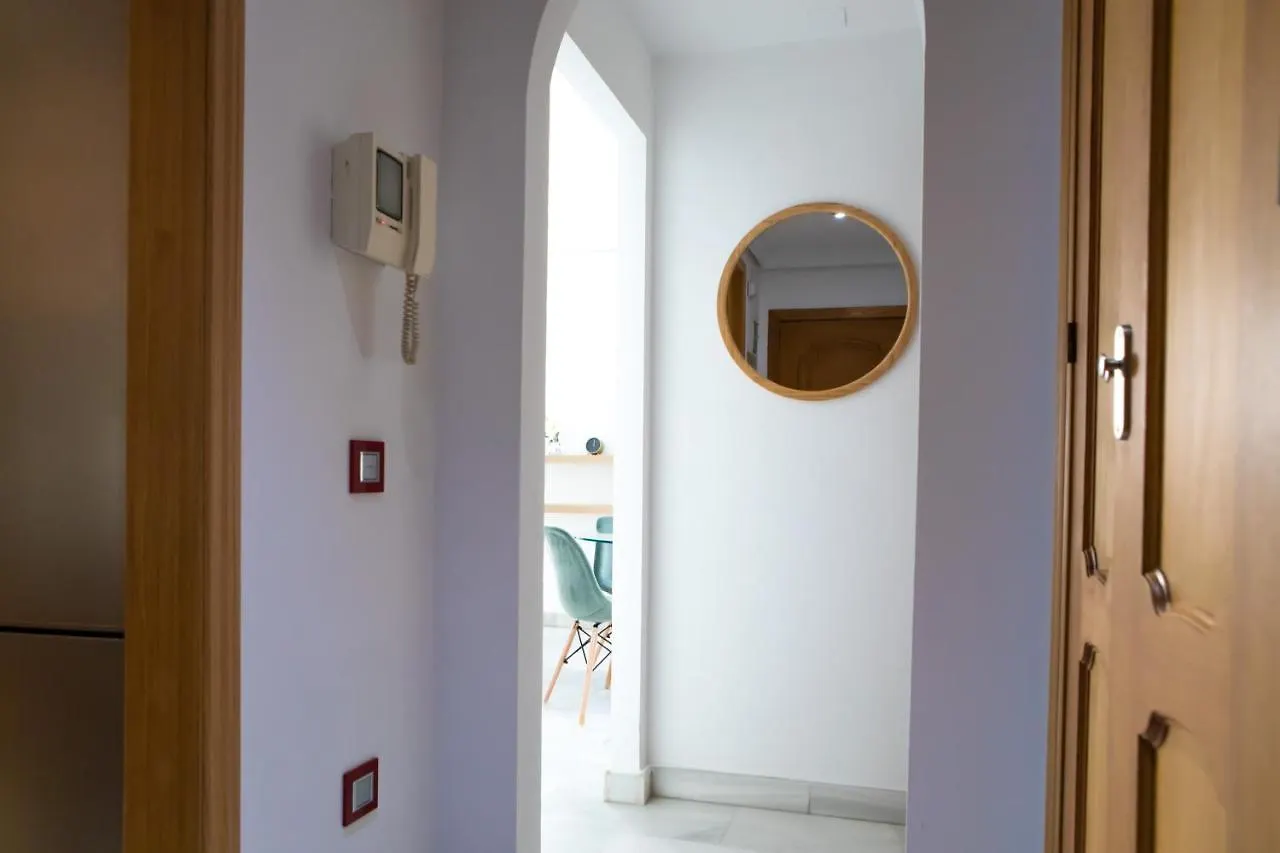 Homely Malaga Larios Apartment